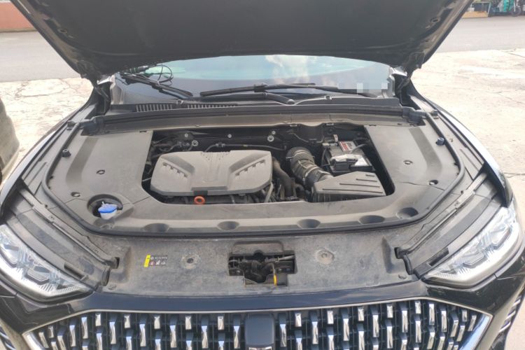 Used Wey Mocha 2021 2.0T Four-Wheel Drive Premium Edition Engine Bay