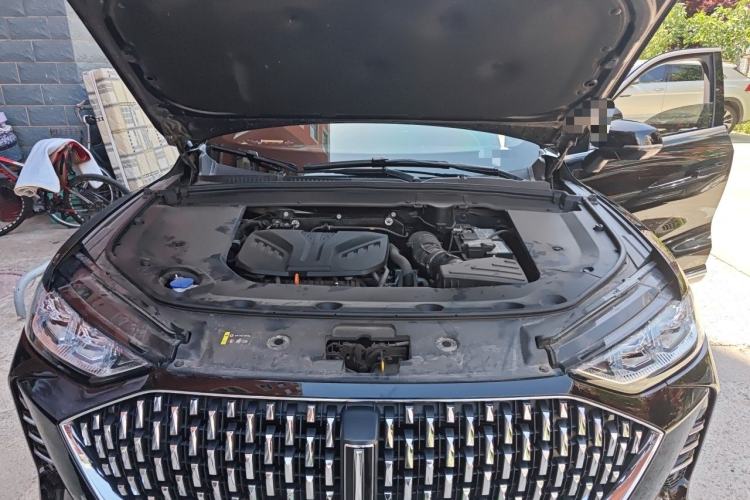 Used Wey Mocha 2021 2.0T Two-Wheel-Drive Ultra-Strong Version Engine Bay