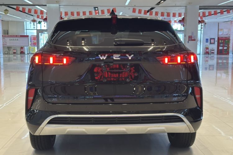 Used Wey Mocha 2021 2.0T Two-Wheel-Drive Ultra-Strong Version Exterior 9
