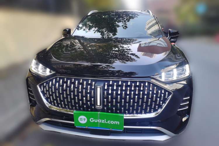 Used Wey Mocha 2021 2.0T Two-Wheel-Drive Premium Edition Front