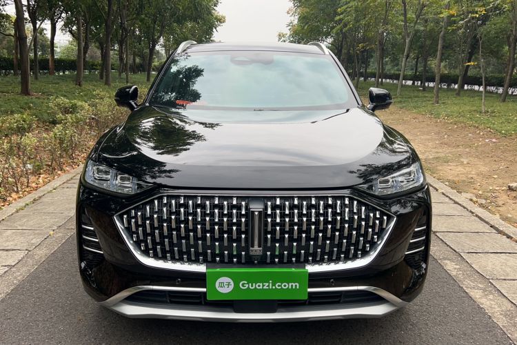 Used Wey Mocha 2021 2.0T Two-Wheel-Drive Premium Edition Front