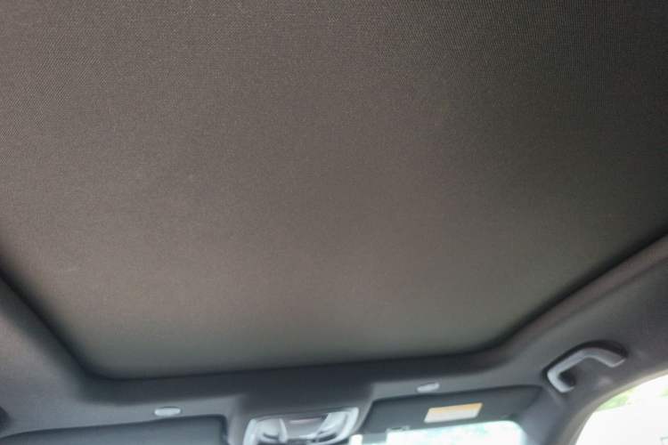 Used Wey Mocha 2021 2.0T Two-Wheel-Drive Ultra-Strong Version Headliner