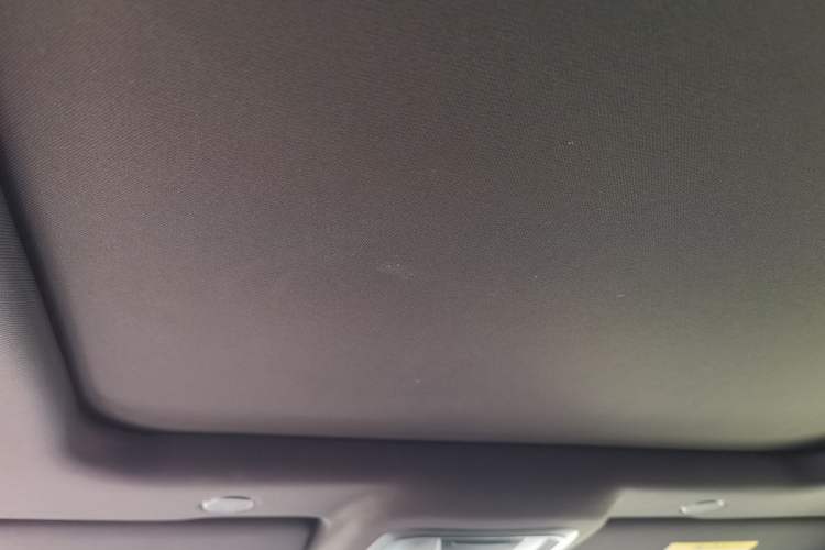 Used Wey Mocha 2021 2.0T Four-Wheel Drive Premium Edition Headliner