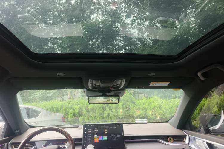 Used Wey Mocha 2021 2.0T Four-Wheel Drive Premium Edition Headliner