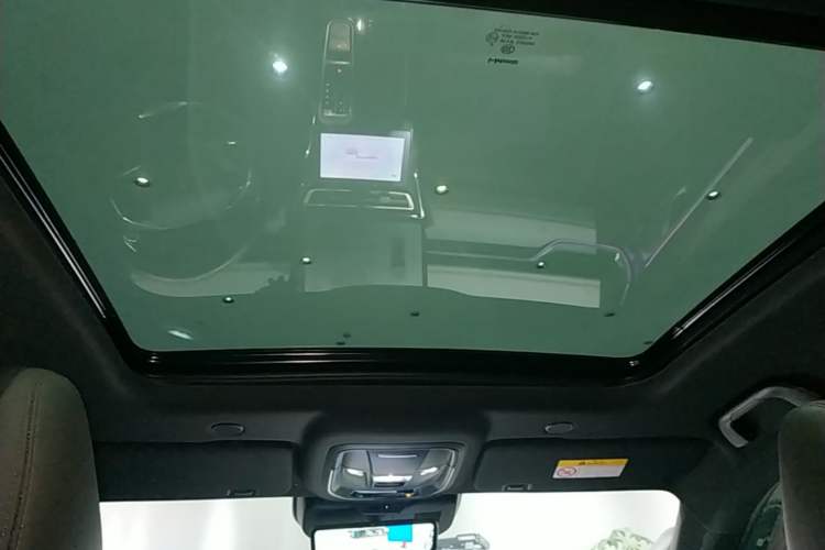 Used Wey Mocha 2021 2.0T Four-Wheel Drive Premium Edition Headliner