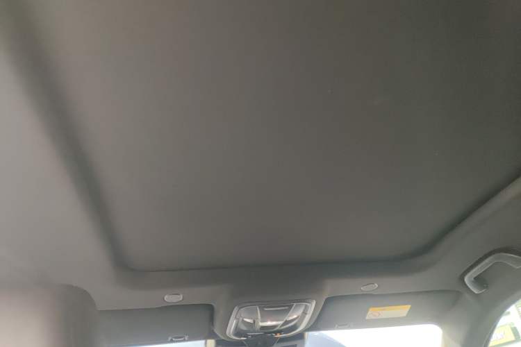 Used Wey Mocha 2021 2.0T Four-Wheel Drive Premium Edition Headliner