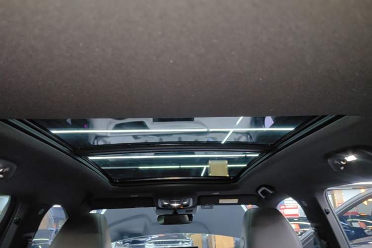 Used Wey Mocha 2021 2.0T Two-Wheel-Drive Ultra-Strong Version Headliner