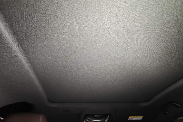 Used Wey Mocha 2021 2.0T Two-Wheel-Drive Premium Edition Headliner