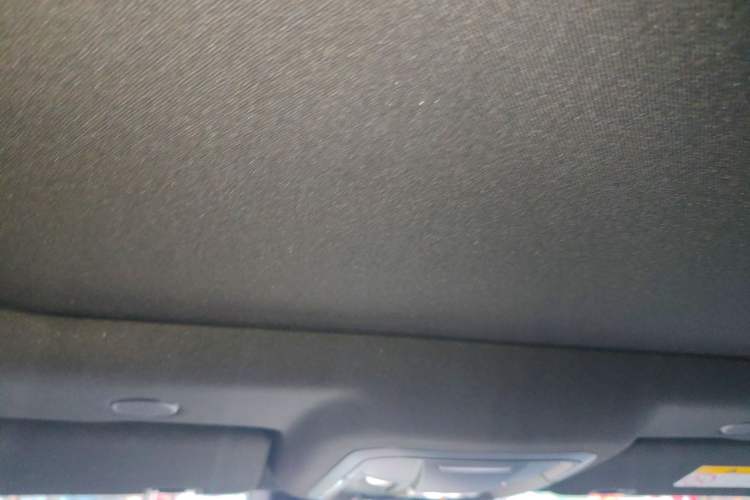 Used Wey Mocha 2021 2.0T Two-Wheel-Drive Premium Edition Headliner