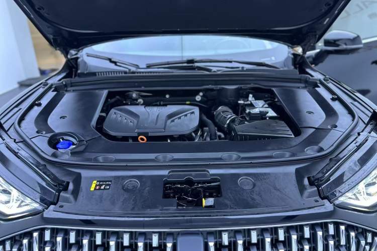 Used Wey Mocha 2021 2.0T Two-Wheel-Drive Premium Edition Interior 9