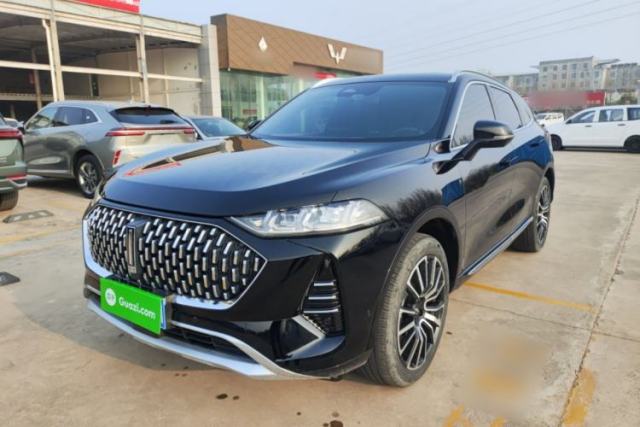 Used Wey Mocha 2021 2.0T Four-Wheel Drive Premium Edition