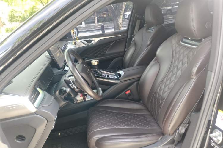 Used Wey Mocha 2021 2.0T Four-Wheel Drive Premium Edition Left Front Seat