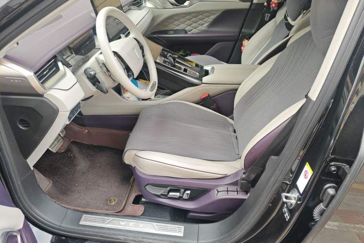 Used Wey Mocha 2021 2.0T Two-Wheel-Drive Ultra-Strong Version Left Front Seat