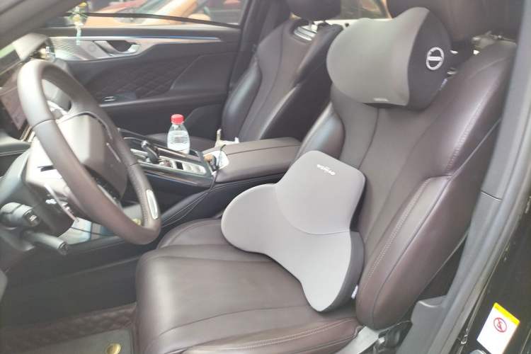 Used Wey Mocha 2021 2.0T Two-Wheel-Drive Ultra-Strong Version Left Front Seat