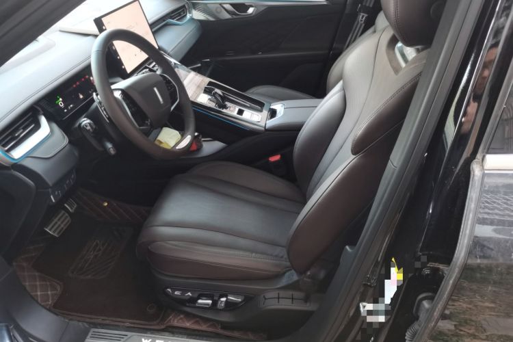 Used Wey Mocha 2021 2.0T Two-Wheel-Drive Ultra-Strong Version Left Front Seat
