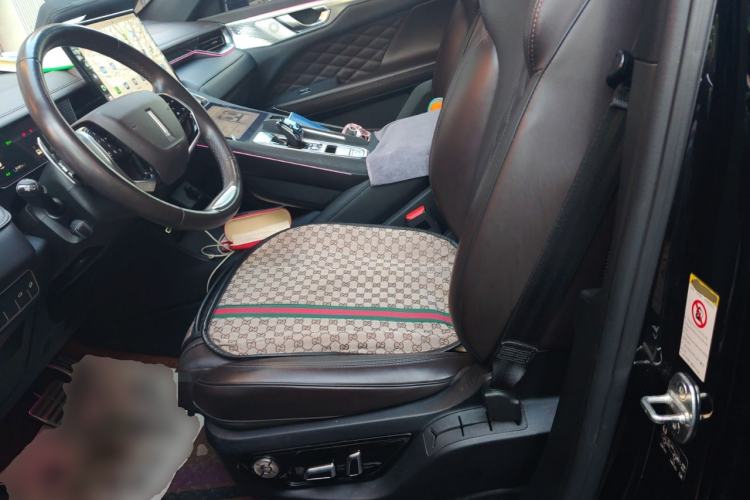Used Wey Mocha 2021 2.0T Two-Wheel-Drive Premium Edition Left Front Seat