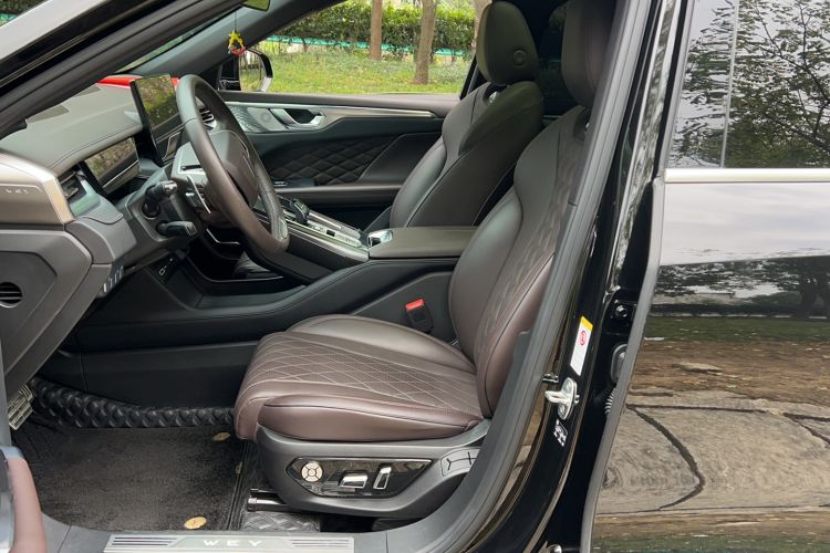 Used Wey Mocha 2021 2.0T Two-Wheel-Drive Premium Edition Left Front Seat