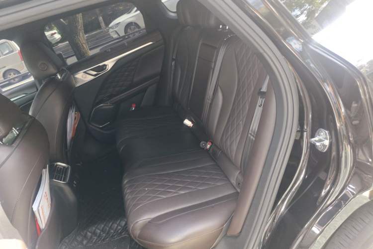 Used Wey Mocha 2021 2.0T Four-Wheel Drive Premium Edition Left Rear Seat