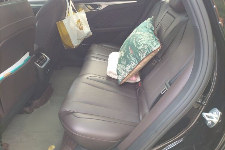 Used Wey Mocha 2021 2.0T Two-Wheel-Drive Ultra-Strong Version Left Rear Seat