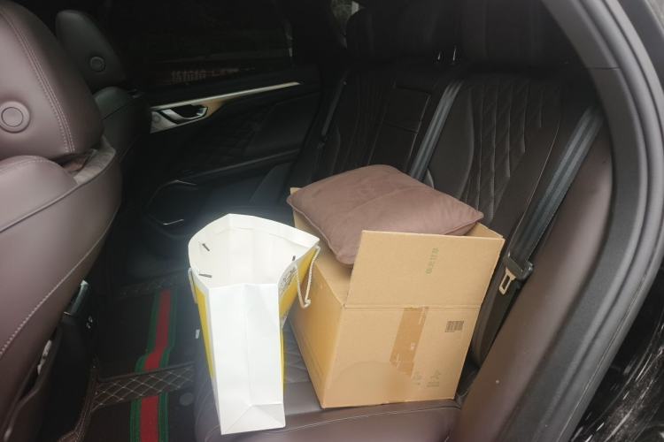 Used Wey Mocha 2021 2.0T Four-Wheel Drive Premium Edition Left Rear Seat