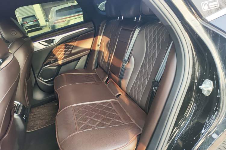 Used Wey Mocha 2021 2.0T Four-Wheel Drive Premium Edition Left Rear Seat