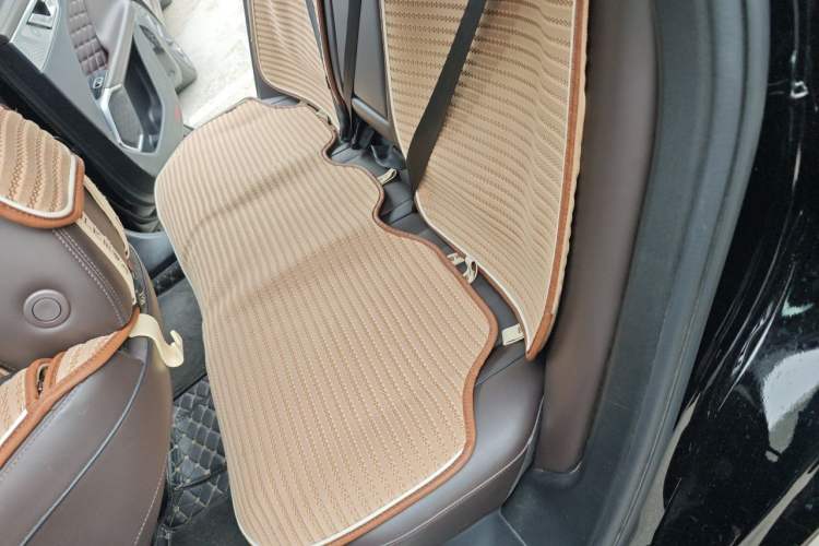 Used Wey Mocha 2021 2.0T Two-Wheel-Drive Ultra-Strong Version Left Rear Seat