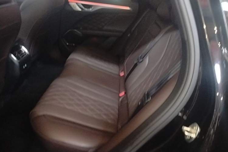 Used Wey Mocha 2021 2.0T Four-Wheel Drive Premium Edition Left Rear Seat