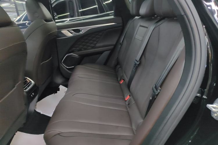 Used Wey Mocha 2021 2.0T Two-Wheel-Drive Ultra-Strong Version Left Rear Seat