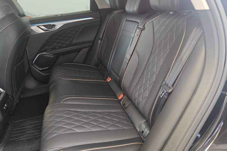 Used Wey Mocha 2021 2.0T Four-Wheel Drive Premium Edition Left Rear Seat