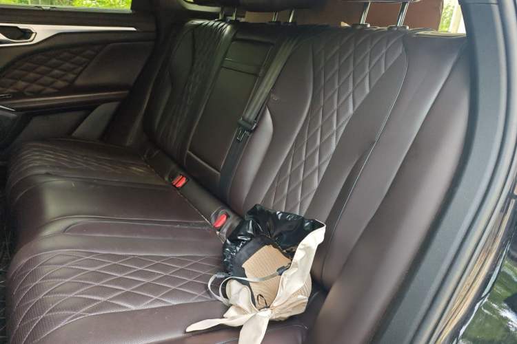 Used Wey Mocha 2021 2.0T Two-Wheel-Drive Premium Edition Left Rear Seat