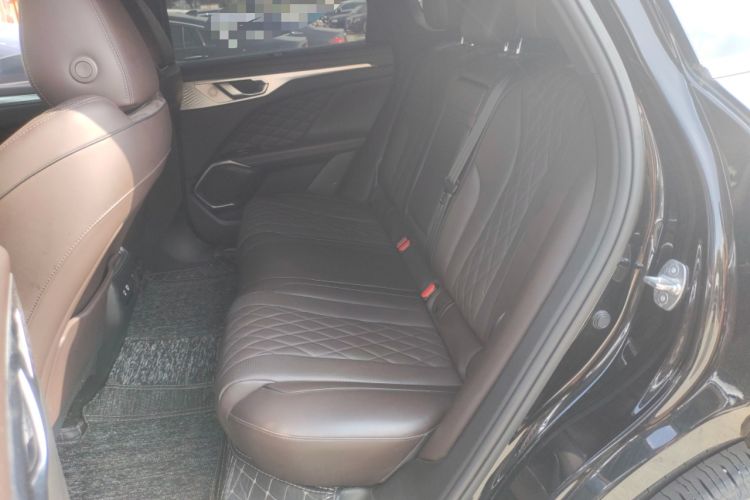 Used Wey Mocha 2021 2.0T Four-Wheel Drive Premium Edition Left Rear Seat