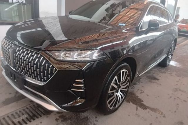 Used Wey Mocha 2021 2.0T Four-Wheel Drive Premium Edition