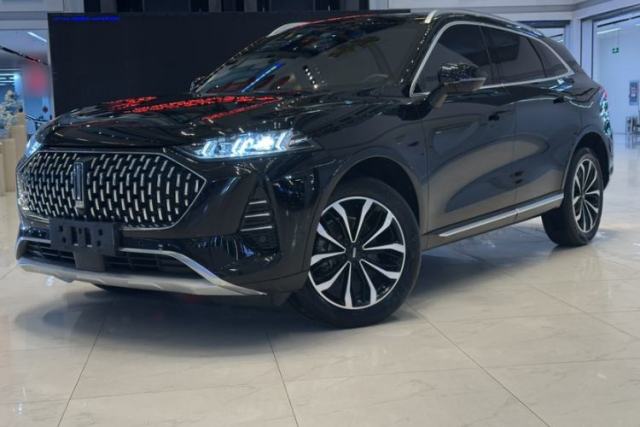 Gebrauchter Wey Mocha 2021 2.0T Two-Wheel-Drive Ultra-Strong Version