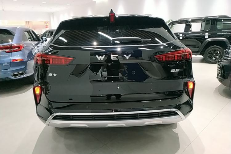 Used Wey Mocha 2021 2.0T Four-Wheel Drive Premium Edition Rear