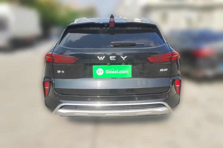 Used Wey Mocha 2021 2.0T Four-Wheel Drive Premium Edition Rear