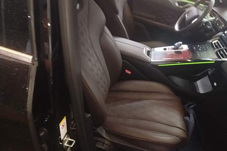 Used Wey Mocha 2021 2.0T Four-Wheel Drive Premium Edition Right Front Seat