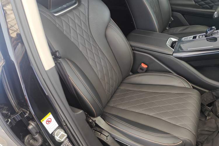 Used Wey Mocha 2021 2.0T Four-Wheel Drive Premium Edition Right Front Seat