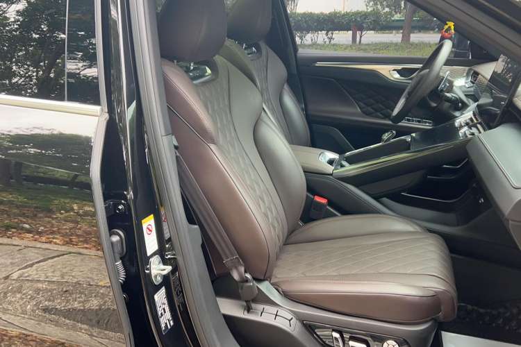 Used Wey Mocha 2021 2.0T Two-Wheel-Drive Premium Edition Right Front Seat