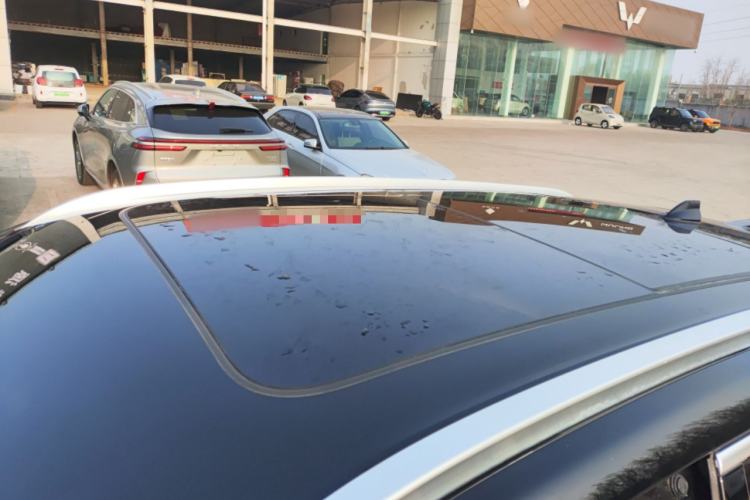Used Wey Mocha 2021 2.0T Four-Wheel Drive Premium Edition Roof