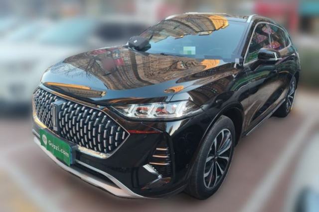 Used Wey Mocha 2021 2.0T Two-Wheel-Drive Premium Edition