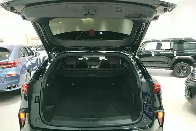 Used Wey Mocha 2021 2.0T Four-Wheel Drive Premium Edition Trunk