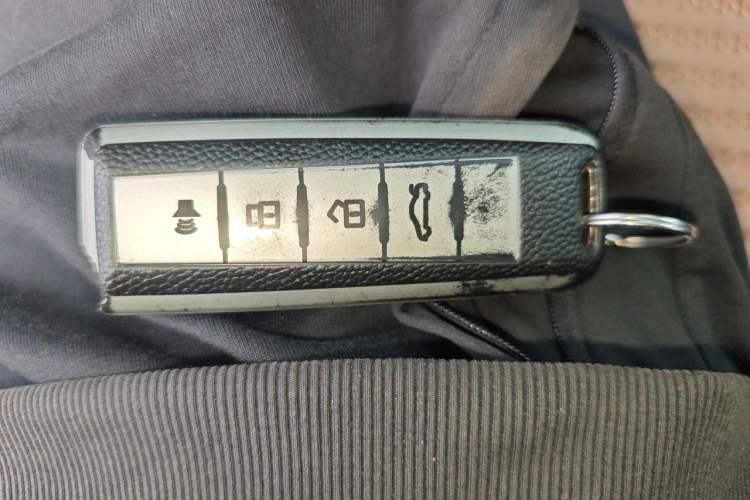 Used Wey Mocha 2021 2.0T Two-Wheel-Drive Ultra-Strong Version Vehicle Key