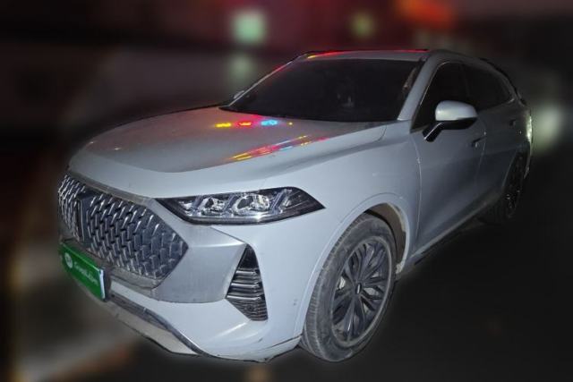 Used Wey Mocha 2021 2.0T Four-Wheel Drive Premium Edition