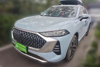 Used Wey Mocha 2021 2.0T Two-Wheel-Drive Premium Edition
