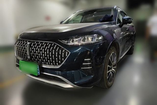Used Wey Mocha 2021 2.0T Two-Wheel-Drive Premium Edition