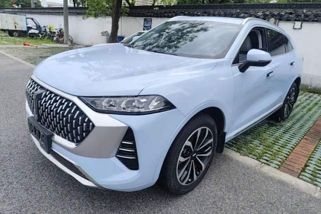 Used Wey Mocha 2021 2.0T Two-Wheel-Drive Premium Edition