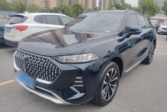 Used Wey Mocha 2021 2.0T Two-Wheel-Drive Premium Edition