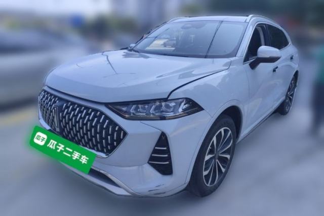 Used Wey Mocha 2021 2.0T Two-Wheel Drive Special Edition