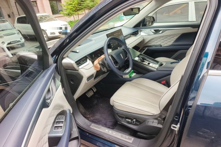 Used Wey Mocha 2021 2.0T Two-Wheel-Drive Ultra-Strong Version Driver Seat