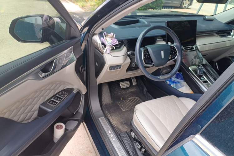 Used Wey Mocha 2021 2.0T Two-Wheel-Drive Premium Edition Driver Seat